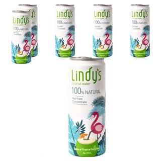 Lindy's 100%原味椰子水 天然無添加 補充水分 清涼解渴, 310ml, 6罐