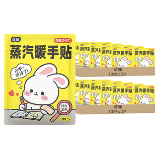 荷瞳 蒸氣暖手貼 2片, 20包