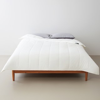 센타스타 페이머스 듀오 이불