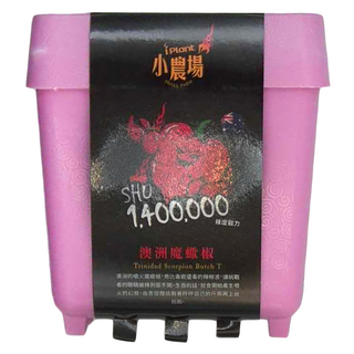 iPlant 積木農場盆栽 澳洲魔蠍椒 S.H.U. 1400000