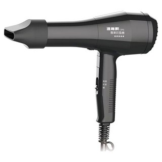 達新牌 TS-1293 沙龍級專業吹風機, 黑色, 1個