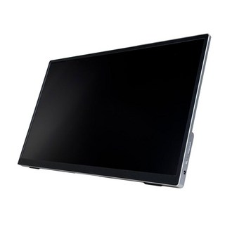 WInTEn IPS 超薄廣視角可攜式觸控螢幕 1個, WT-156AT-BK, 15.6吋