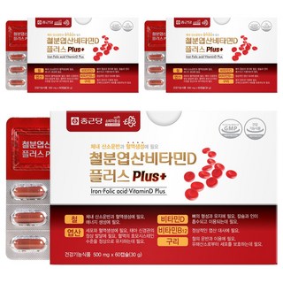 Chong Kun Dang 鍾根堂 鐵葉酸維生素D膠囊Plus, 60顆, 3盒