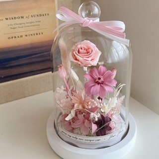 小王子永生玫瑰花夜燈，顏色: 朦朧粉，尺寸: 9W x 18Hcm, 白底柔美