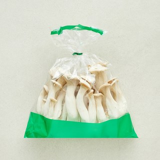 친환경 머쉬멜로버섯, 1개, 500g