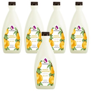 포모나 망고 스무디 시럽, 2kg, 5개