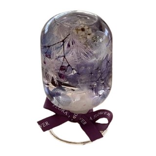 植物標本水晶球浮游花夜燈組 - 籐夢紫 16.4Hcm