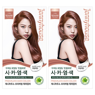 제니하우스코스메틱 프리미엄 헤어컬러 염모제, 핑크브라운11PB, 2개