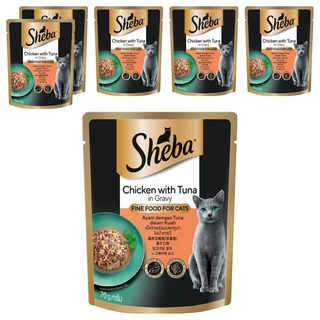 쉬바 1세 이상 고양이 간식 파우치, 닭+참치, 70g, 6개