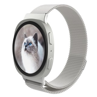 로랜텍 마그네틱 메탈 스트랩, 실버, 1개