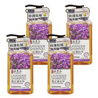 SOAPBERRY 古寶無患子 真 正薰衣草洗髮精華露, 舒緩乾燥適用, 450g, 4瓶