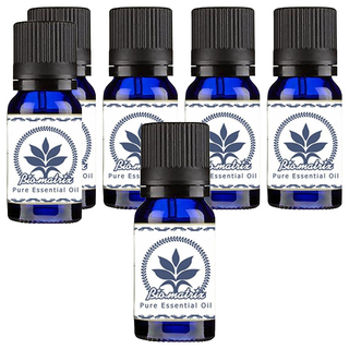 Bio-matrix 百翠氏 龍涎香水溶性精油 10ml, 水氧機專用, 印度產, 6罐