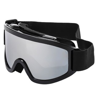 Ants 滑雪鏡造型, 1個, 黑色和銀色
