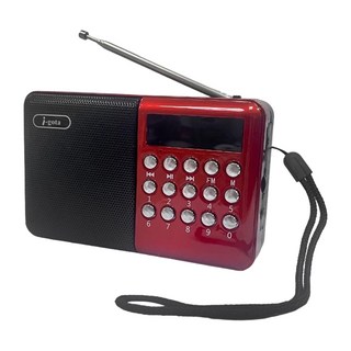i-gota 愛購它 FM + MP3 隨身收音機，TF記憶卡+USB隨身碟播放支援, RDW-853, 1個