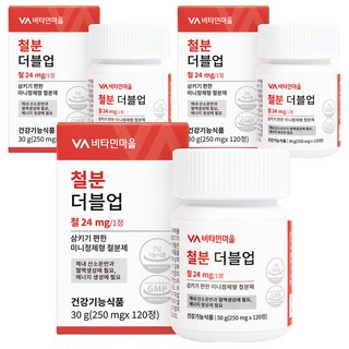Vitamin Village Double up鐵補充碇, 120顆, 3罐