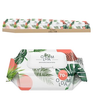 OLDam Monstera 嬰兒用濕紙巾 掀蓋式 熱帶雨林款 10包, 70張