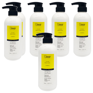 DUSA 度莎 常春藤亮彩護色洗髮精 針對染後髮質 延長鎖色時間, 500ml, 6瓶
