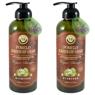 YR 葉璐芝 柚子馬鞭草洗髮精 輕鬆洗淨, 700ml, 2瓶