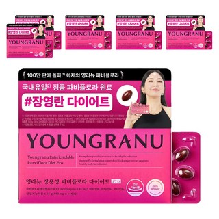영라뉴 장용성 파비플로라 다이어트 프로, 14정, 6개