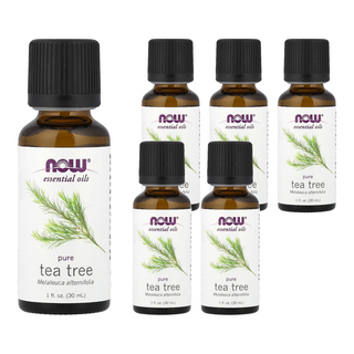 NOW Foods 100%茶樹精油, 30ml, 6瓶