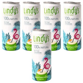Lindy's 100%原味椰子水 天然健康解渴飲品 隨時享受熱帶風味, 310ml, 5罐