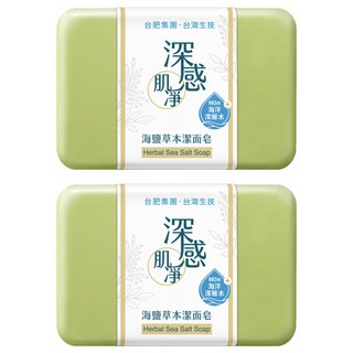 Taiwan Yes 台海生技 深感肌凈潔面皂 海鹽草本, 100g, 2入