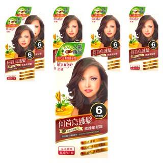 Roudye 柔蝶 何首烏護髮 快速染髮霜 全新升級配方 灰白髮/白髮適用, 6號 自然黑褐, 6盒