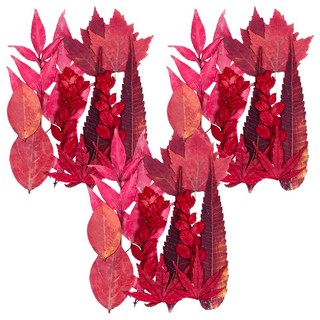A-ONE 匯旺 Set 天然植物壓花 14.5 x 10.5 CM, 丹楓迎秋