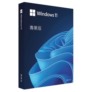 Microsoft 微軟 Windows 11 專業中文版, X22-95530-01