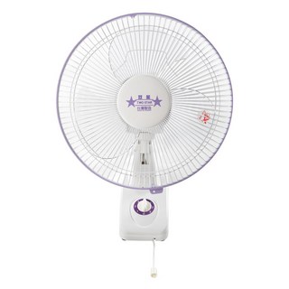 雙星牌 12吋單拉掛壁扇 110V 60Hz, TS-1236