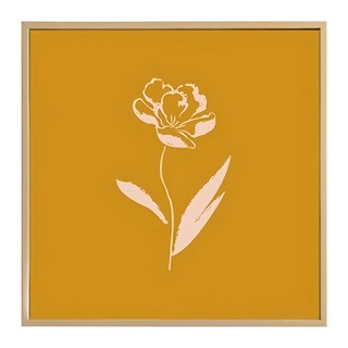 Boluo 菠蘿選畫所 橙花獨秀 BFFD6607G 框畫 北歐風裝飾畫, 60 x 60cm, 金色, 1個