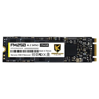 AITC 艾格 FM250 SSD SATAIII 固態硬碟 M.2 2280, 256GB, 最大連續讀取 560MB/s，最大連續寫入 500MB/s, 1個
