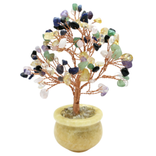 advance jewel 寶峻晶石館 迷你發財樹聚寶盆，辦公室開運小物，提升工作運勢，增添財運, 220g, 混色