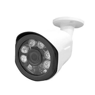 Transitions 全視線 監控攝影機 90(含支架180) x 70 x 70mm 410g, TS-SV201B, 1台