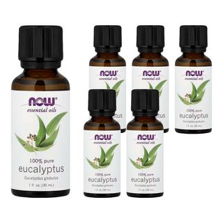 NOW Foods 純尤加利精油 30ml, 6瓶