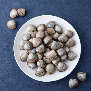 단디프레시 직접 손으로 채취한 서해안 갯벌 동죽조개, 800g, 1봉