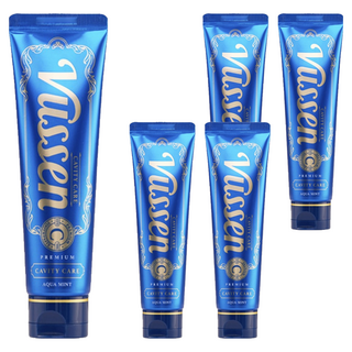 오스템 뷰센 C 충치케어 치약 아쿠아민트향, 120g, 5개