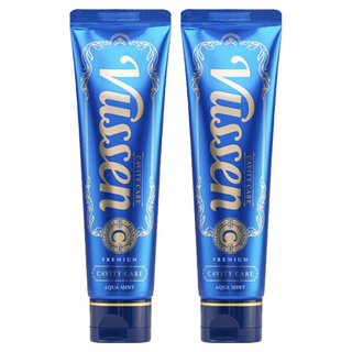 오스템 뷰센 C 충치케어 치약 아쿠아민트향, 120g, 2개