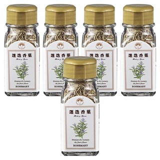 新光洋菜 迷迭香葉, 20g, 5瓶