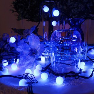 나이스엘이디 LED 앵두전구 점멸전원잭 포함 검정선 100구, 청색, 1개