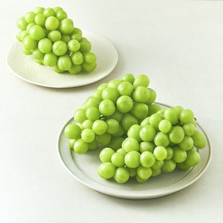 다조은 비파괴당도선별 샤인머스캣, 2kg, 1개