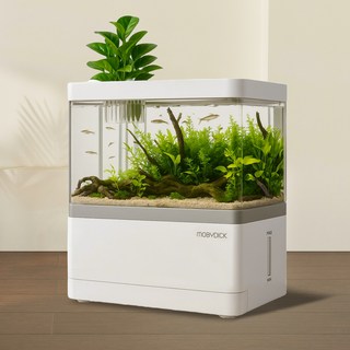 MOBYDICK 一體迷你魚缸, 混色, 1個