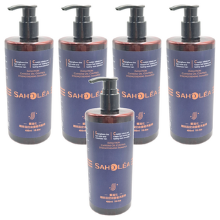 SAHOLEA 森歐黎漾 質進化咖啡因涼感控油健髮洗髮精, 480ml, 5瓶