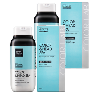 케라시스 컬러 헤드스파 염색제 250g, 2개, 내추럴블랙