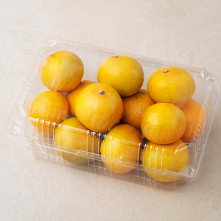 곰곰 당도선별 제주감귤, 1kg(로열과), 1개