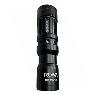 ROWA 樂華數位科技 免充電指向性麥克風, RW-MIC125, 1個