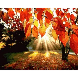 ArtLife 藝術生活 數字油畫DIY DT060 50 x 40cm, 仲夏晨曦, 1組