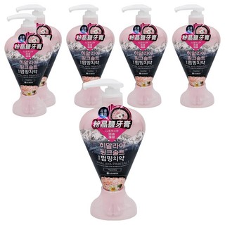 BAMBOO SALT 竹鹽 喜馬拉雅粉晶鹽牙膏 清新花香薄荷 口氣清新 去除牙菌斑 預防蛀牙, 285g, 6瓶