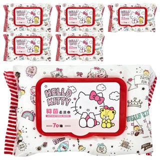 Hello Kitty 凱蒂貓 抑菌柔濕巾 加蓋 150 x 200mm, 1入, 6包