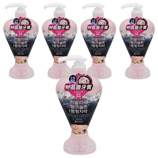 BAMBOO SALT 竹鹽 喜馬拉雅粉晶鹽牙膏, 清新花香薄荷, 口氣清新, 去除牙菌斑 預防蛀牙, 285g, 5瓶